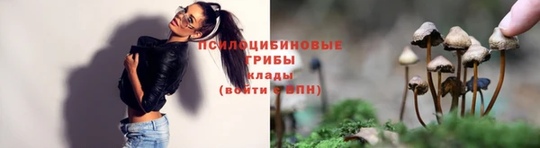 ALPHA PVP Строитель
