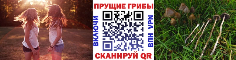 Галлюциногенные грибы мицелий  KRAKEN   Торжок 